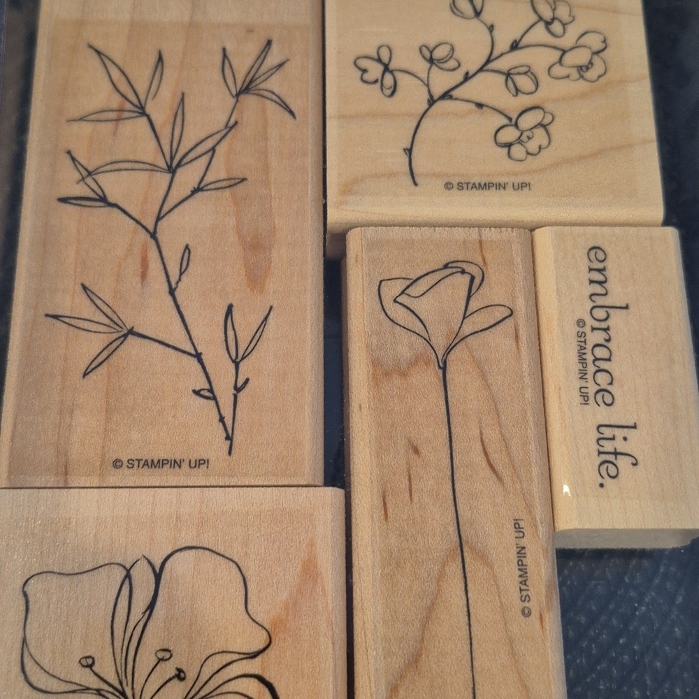 STAMPIN' UP! Retired 2008 'Embrace Life' Stamp Set, Set of 5 Stamps - Picture 2 of 8